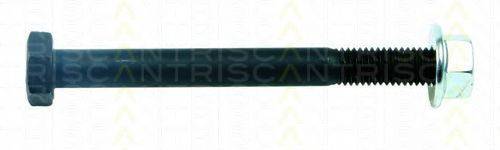 TRISCAN 850029866 Монтажний комплект, важіль незалежної підвіски колеса