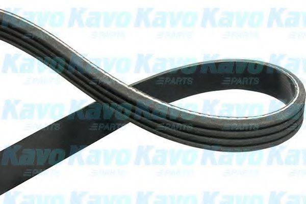 KAVO PARTS DMV-5501