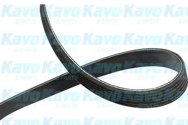 KAVO PARTS DMV9119 Полікліновий ремінь