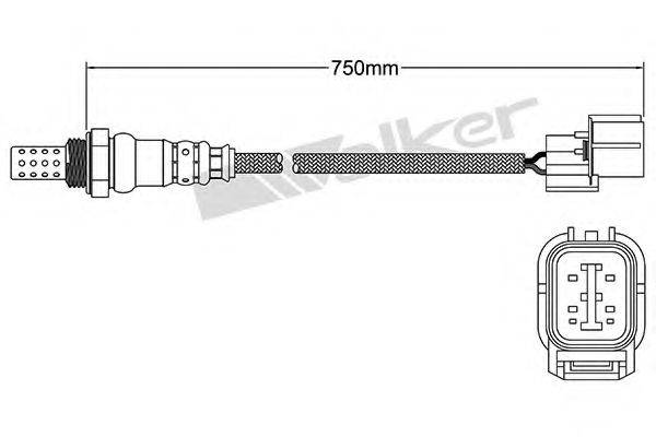 WALKER PRODUCTS 250-24761