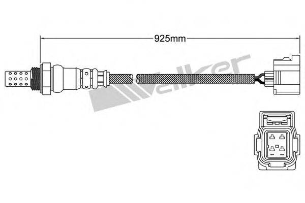 WALKER PRODUCTS 25024857 Лямбда-зонд