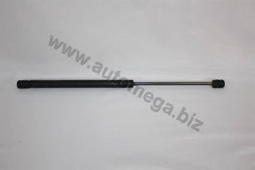 AUTOMEGA 30100250425