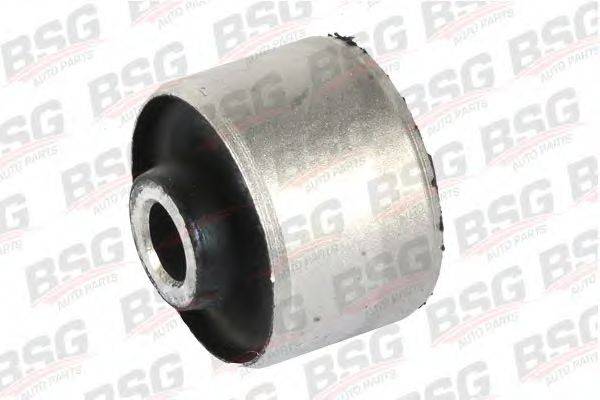 BSG BSG 30-700-002