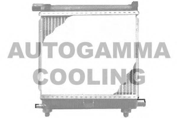 AUTOGAMMA 100511 Радіатор, охолодження двигуна