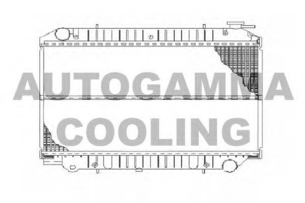 AUTOGAMMA 102204 Радіатор, охолодження двигуна