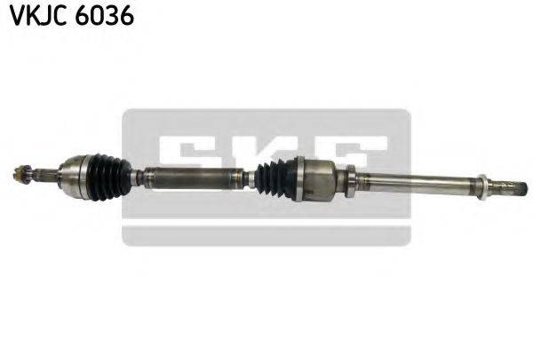 SKF VKJC 6036